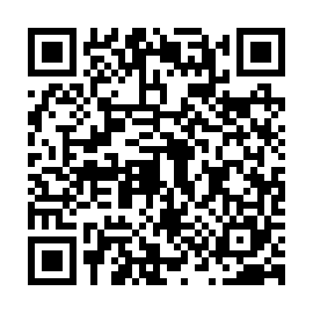 QR code for N312655