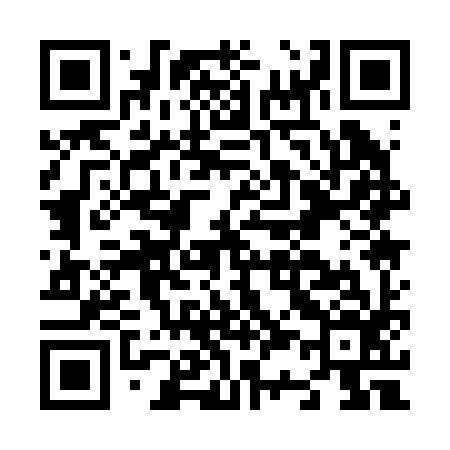 QR code for N31296