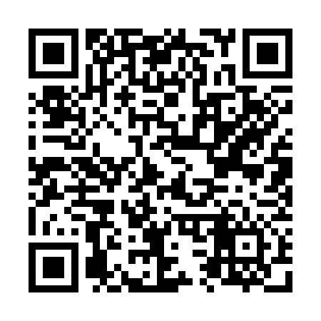 QR code for N31376