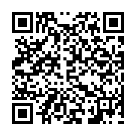 QR code for N31446