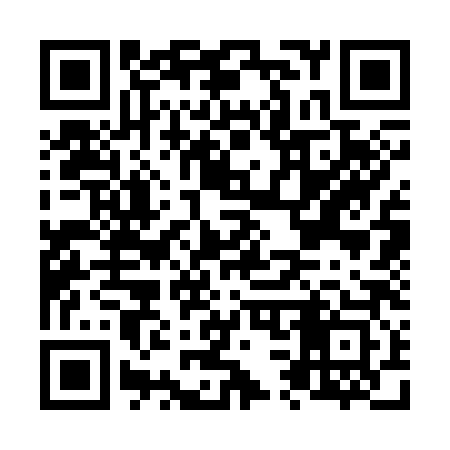 QR code for N33383