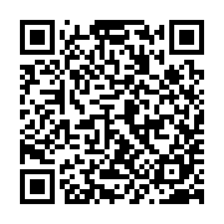 QR code for N33385