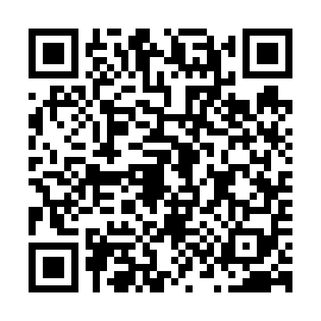 QR code for N336598