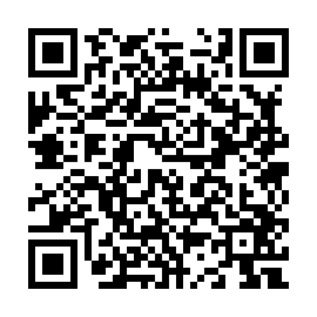 QR code for N338462