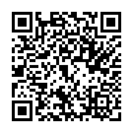 QR code for N339332