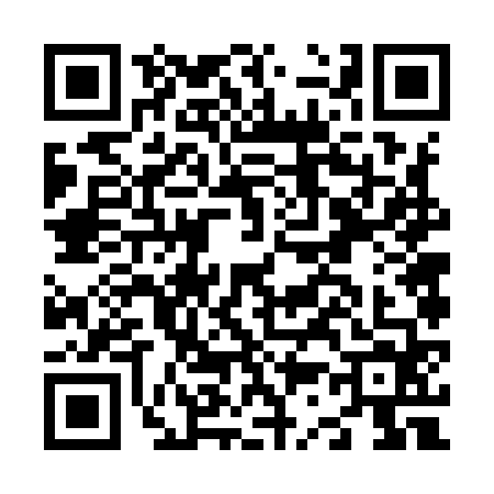 QR code for N369641