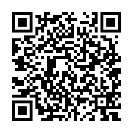 QR code for N376990