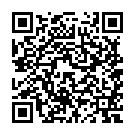 QR code for N378806