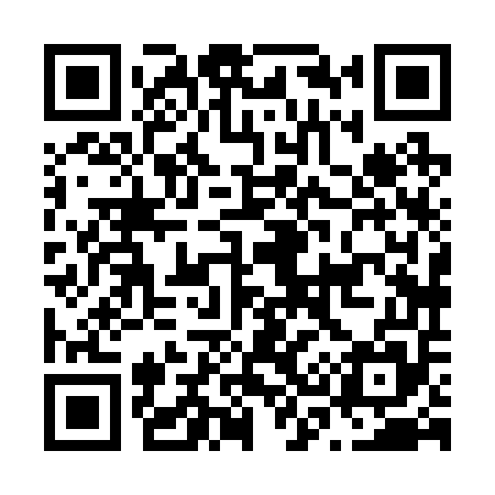 QR code for N38255
