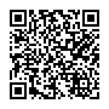 QR code for N38305
