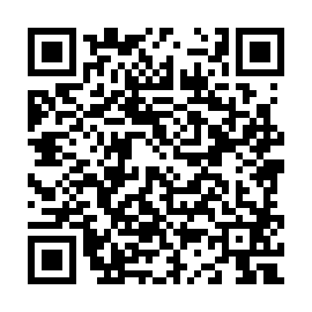 QR code for N383821