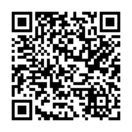 QR code for N38385