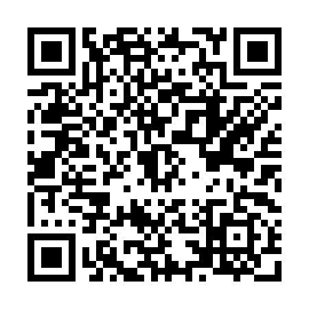 QR code for N383993
