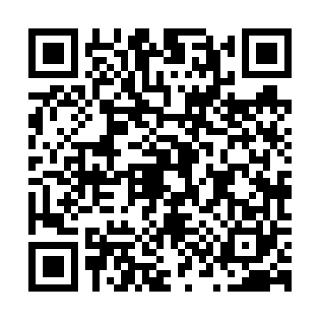 QR code for N386609