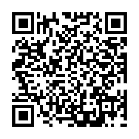 QR code for N387480