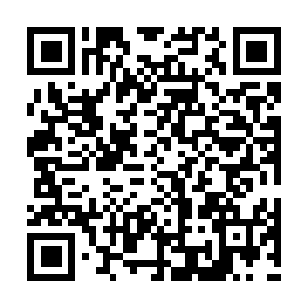 QR code for N387545
