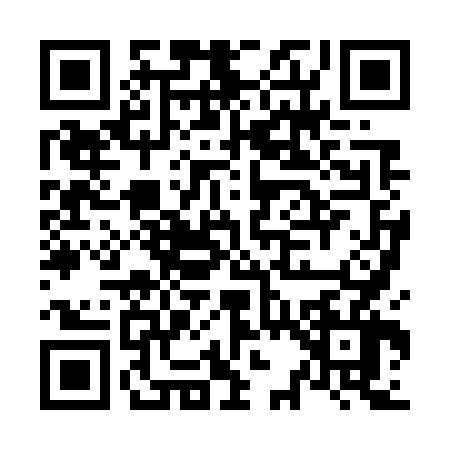 QR code for N387665