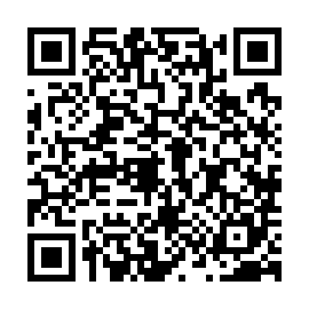 QR code for N387850