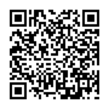 QR code for N388433