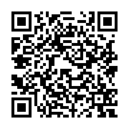 QR code for N391370