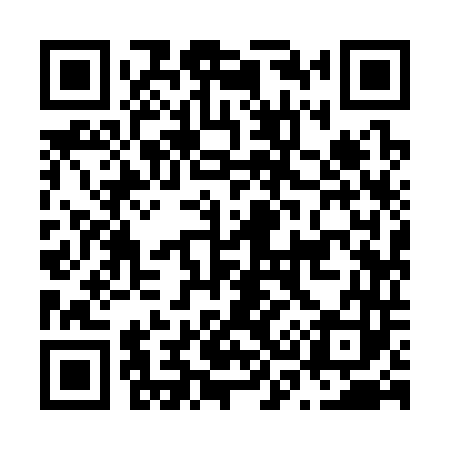 QR code for N39343