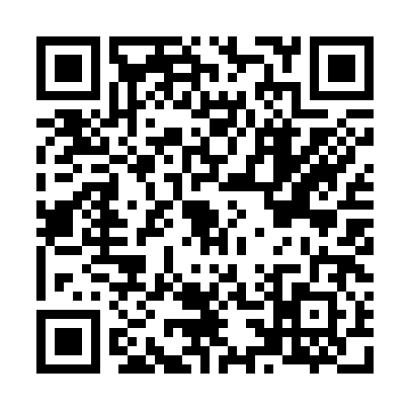 QR code for N393827