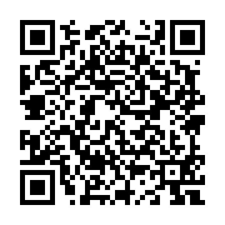 QR code for N394911