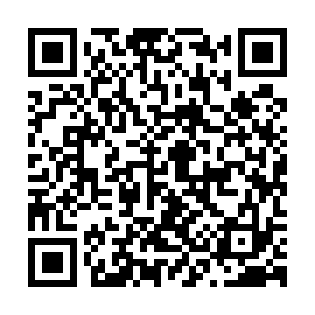 QR code for N39533