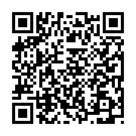 QR code for N395924