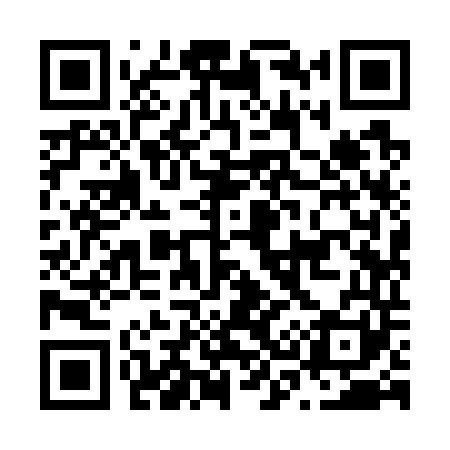 QR code for N39741