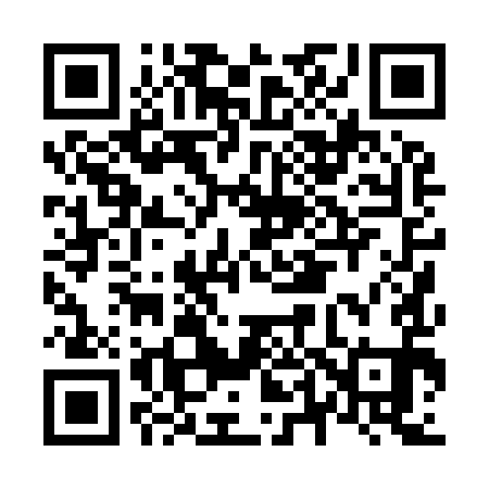 QR code for N40991