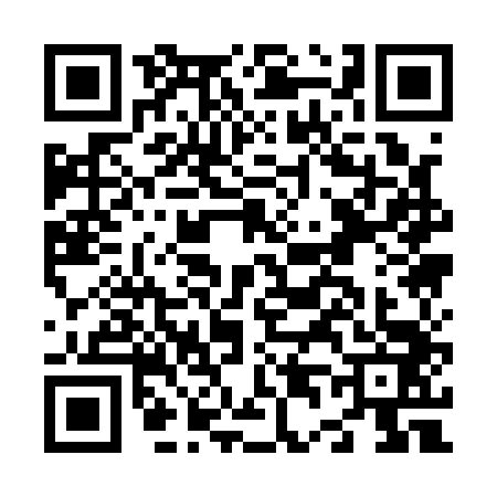 QR code for N411433