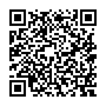 QR code for N411911
