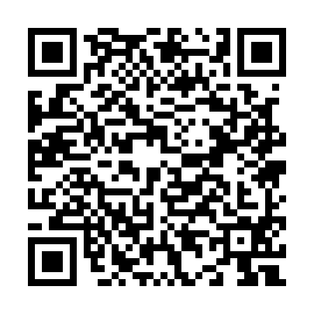 QR code for N411949
