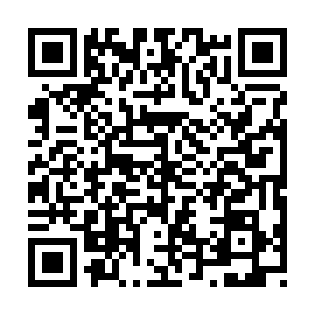 QR code for N412785