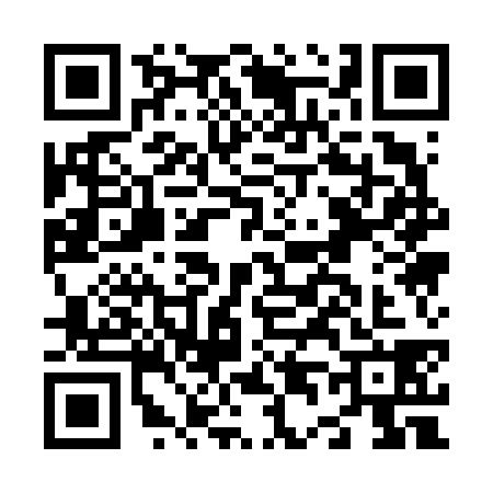 QR code for N416383