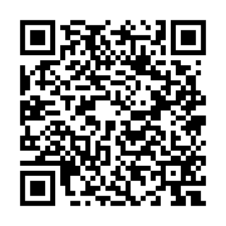 QR code for N417563