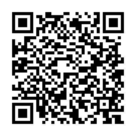QR code for N425418