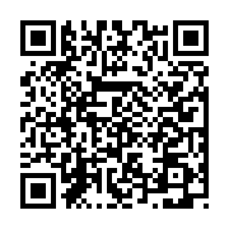 QR code for N425508