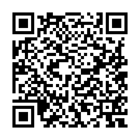 QR code for N429510