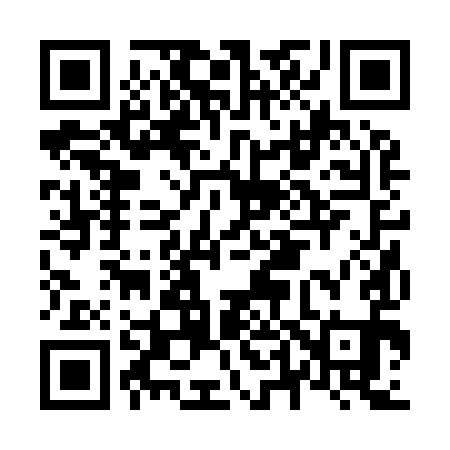 QR code for N42991