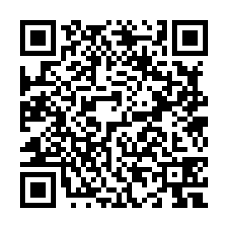 QR code for N438383