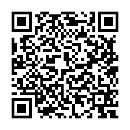 QR code for N438646