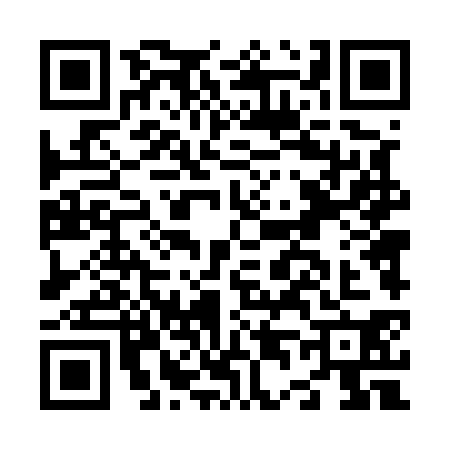 QR code for N445304