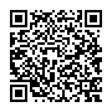 QR code for N447312