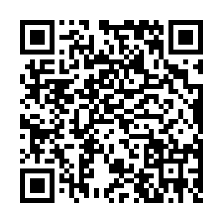 QR code for N447959