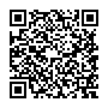 QR code for N448509
