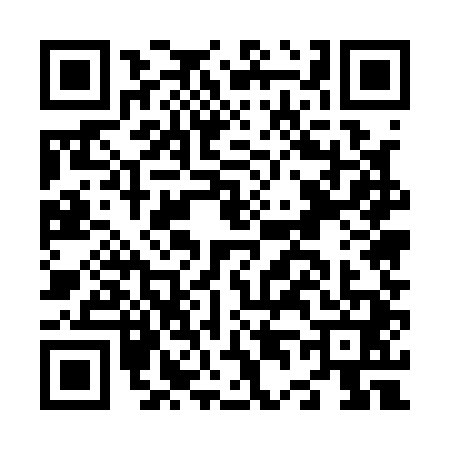 QR code for N451419