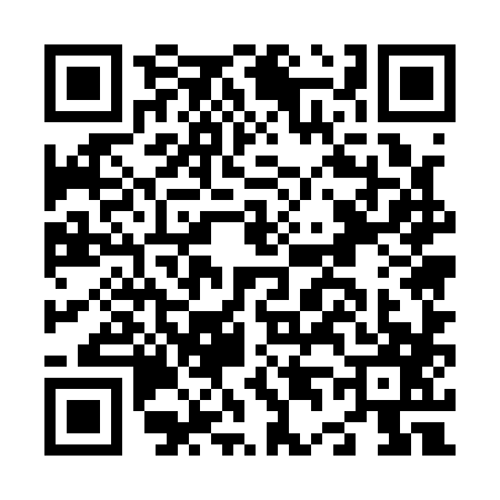 QR code for N451873