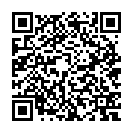 QR code for N452338